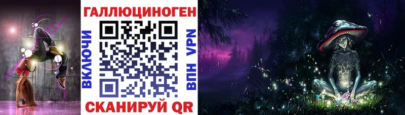 дарнет шоп  Козельск  Псилоцибиновые грибы GOLDEN TEACHER 